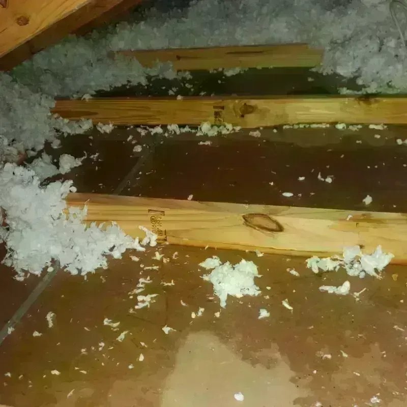 Attic Water Damage in Waseca, MN