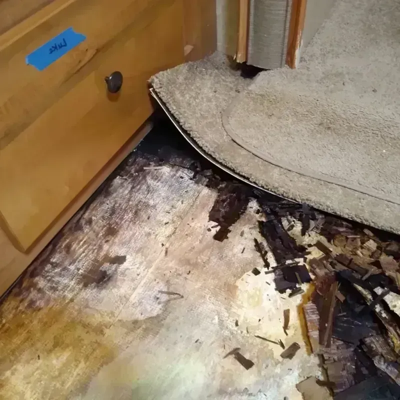 Best Wood Floor Water Damage Service in Waseca, MN